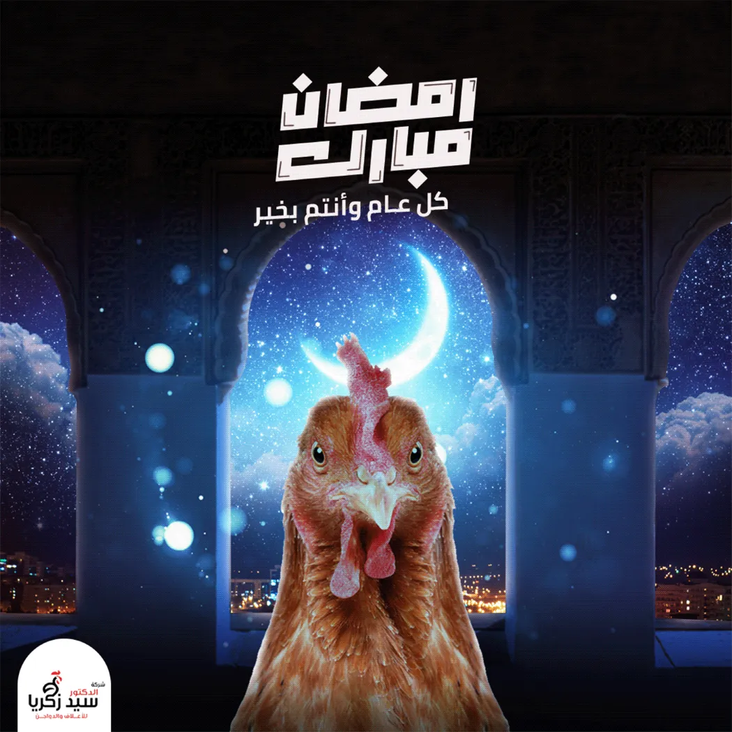 Ramadan & Eid Campaigns